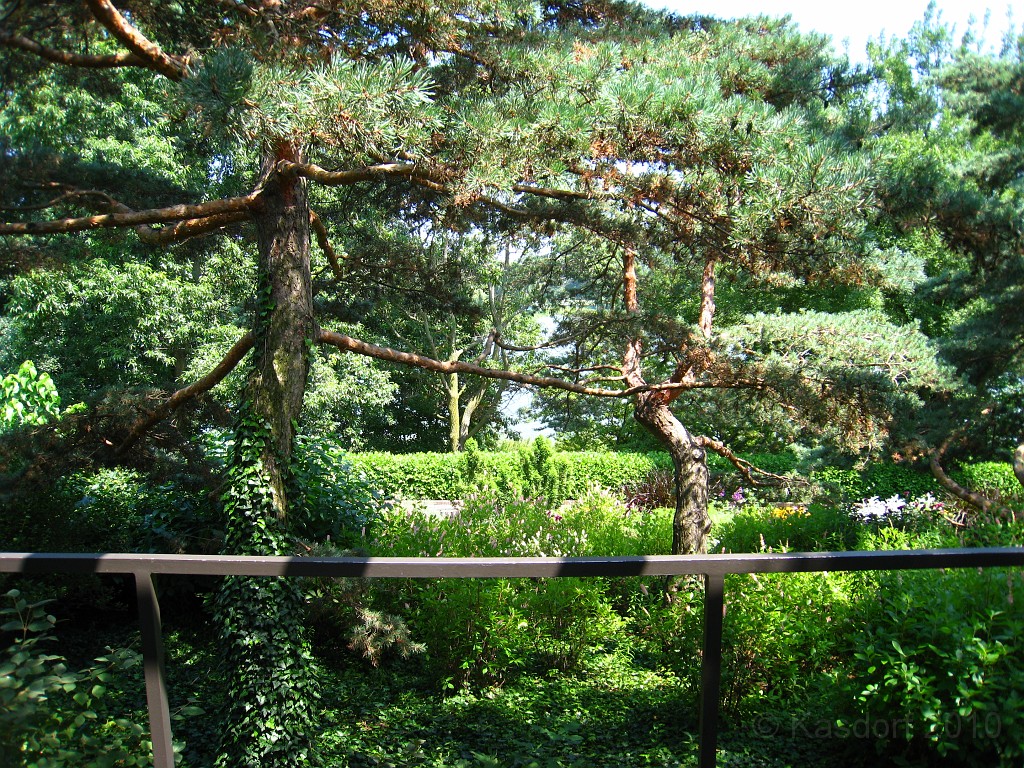 Botanical Gardens 2010 0420.jpg - The Chicago Botanic Gardens. Wear comfortable shoes, and be prepared to enjoy the landscape for a day.